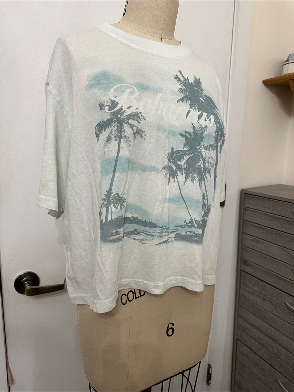 American Eagle Tropical Palm Graphic Tee in Light Aqua & White